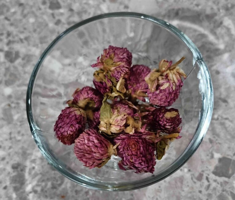 Khasiat Teh Bunga Amaranth