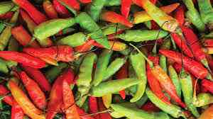 Manfaat Capcaisin pada Cabe 1 Mengenal Manfaat Capcaisin pada Cabe