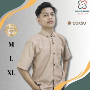 Paket 5 pcs Kemeja Hem Pria Lengan Pendek Slimfit Katun Casual 1